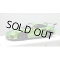 EIDOLON 1/43 Porsche 911 (991.2) GT3 RS 2018 Giallo Verde Pearl with Body Stirpes Limited 32 pcs.