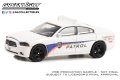 GREEN LiGHT EXCLUSIVE 1/64 2014 Dodge Charger - Kennedy Space Center (KSC) Security Patrol