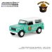 画像3: GREEN LiGHT 1/64 Smokey Bear Series 3