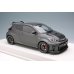 画像5: EIDOLON 1/18 Toyota GRMN Yaris Circuit Package 2022 Matte Steel