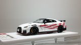 画像: EIDOLON 1/43 NISSAN GT-R NISMO 2020 Tsukuba Time Attack 2019