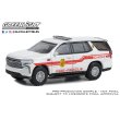 画像7: GREEN LiGHT 1/64 Fire & Rescue Series 4 (7)