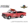 画像1: GREEN LiGHT EXCLUSIVE 1/64 1994 Ford F-250 - 78th Annual Indianapolis 500 Mile Race Official Truck - Red (1)